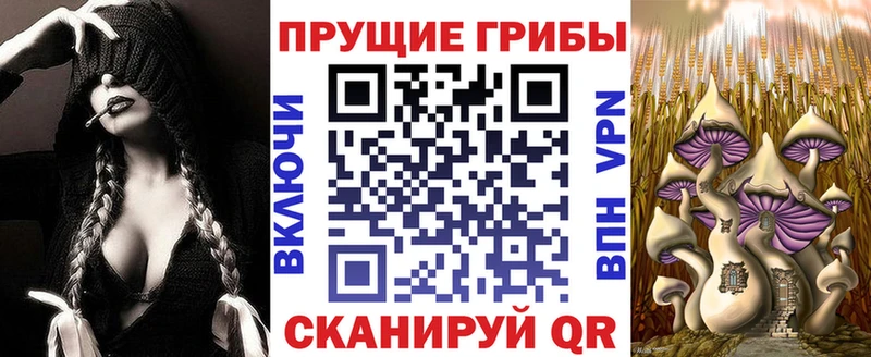 Галлюциногенные грибы Psilocybe  сколько стоит  Североуральск 